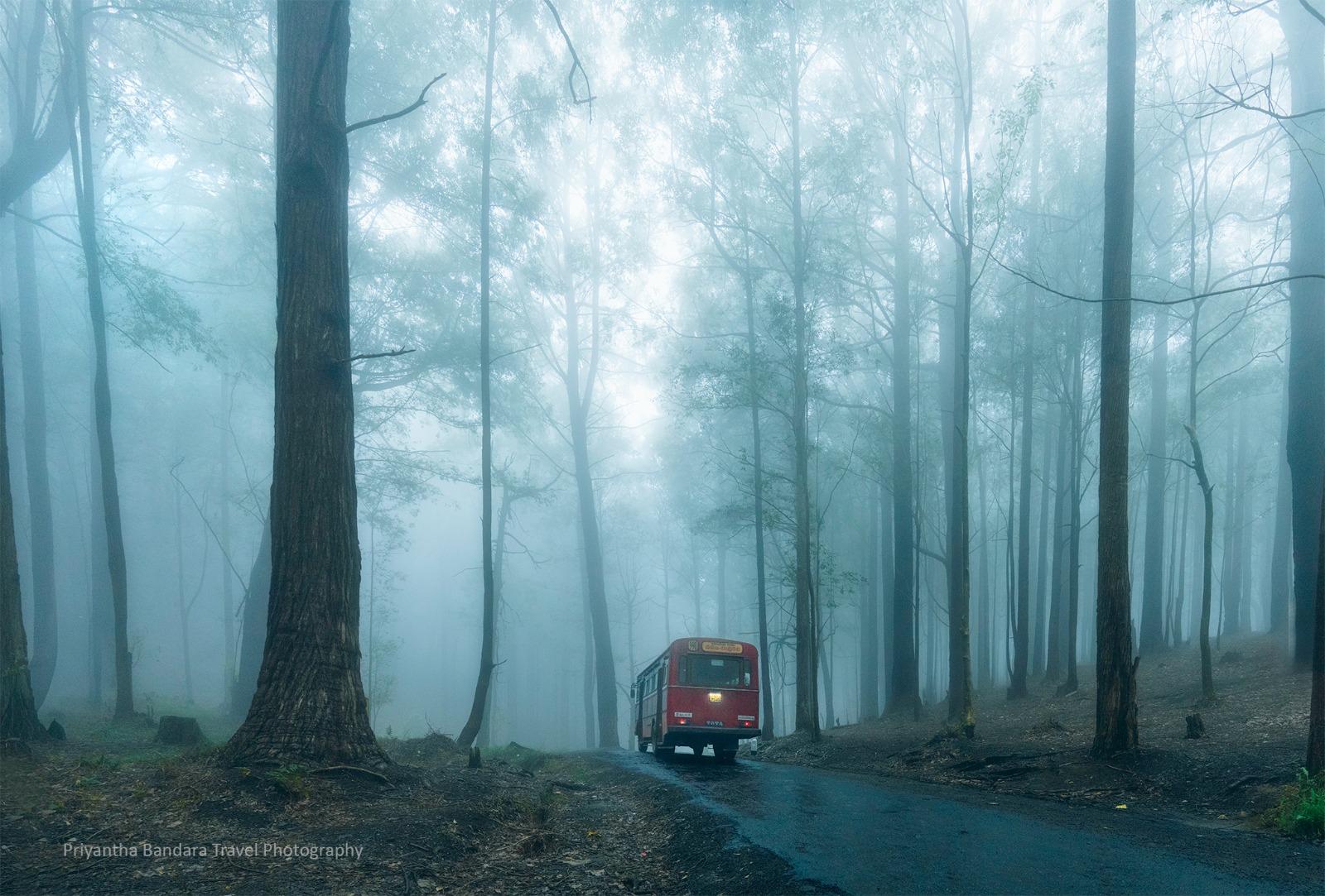 The Hidden Beauty of Sri Lanka